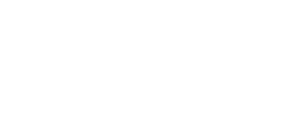 Borborizo Development Logo